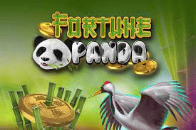 Fortune Panda